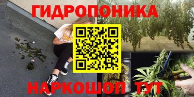 эйфоретик Надым