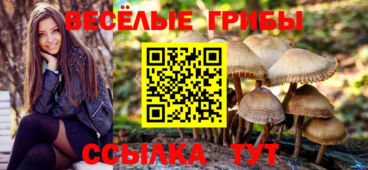 Галлюциногенные грибы прущие грибы  Вход с VPN  наркошоп  Дивногорск 